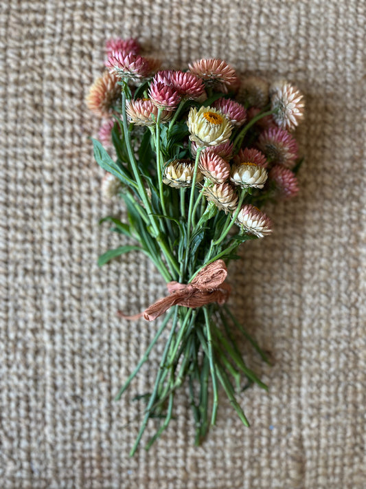 Recycled silk ribbon - Cinnamon